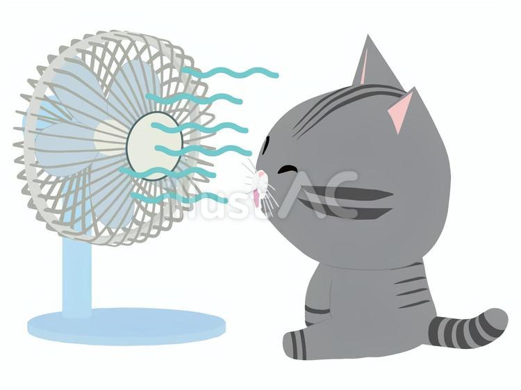 扇風機_猫 扇風機,猫,さばとらのイラスト素材