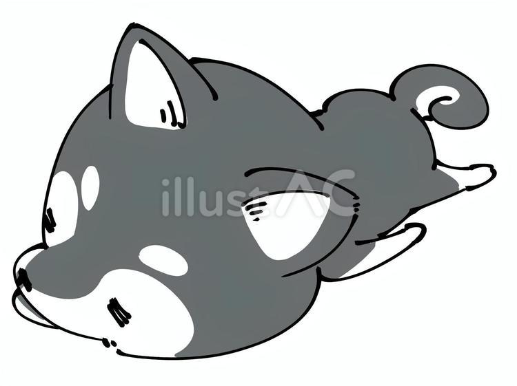 やる気の無い柴犬(黒柴) 柴犬,日本犬,黒柴のイラスト素材