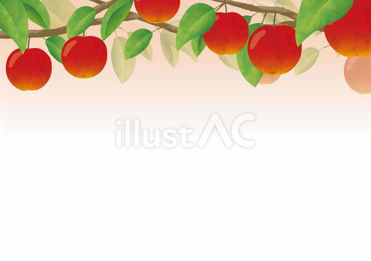 りんごのフレーム水彩画風2 林檎,果物,食べ物のイラスト素材
