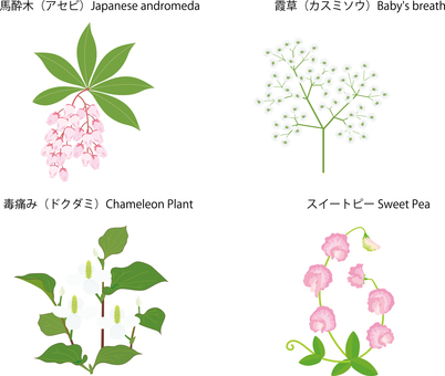 色々な花27 アセビ,カスミソウ,ドクダミ,スイートピー,花のイラスト素材