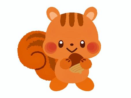 どんぐりを持ったかわいい手描きのリス リス,どんぐり,秋,かわいい,手描き,キャラクター,笑顔,ほっぺ,しっぽ,こども向けのイラスト素材