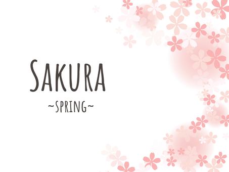 Frame/Cherry Blossom 31, JPG and AI Frame/Cherry Blossom 31, cherry blossoms, cherry blossoms, cherry blossoms, JPG and AI