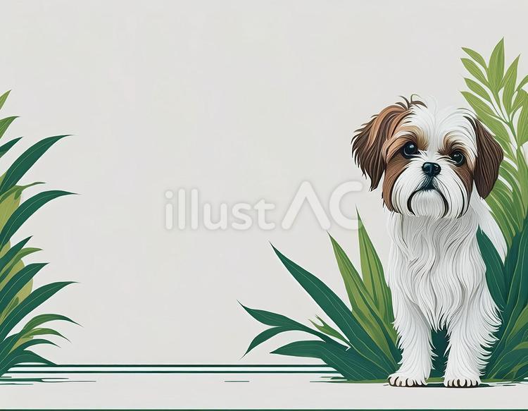 シーズー　背景　フレーム　素材 犬,フレーム,動物のイラスト素材