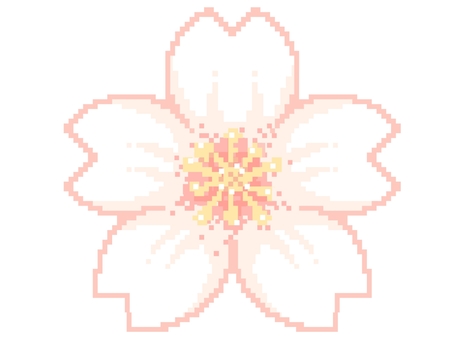 ドット絵風　桜　白 ドット絵,桜,アイコン,白,春のイラスト素材
