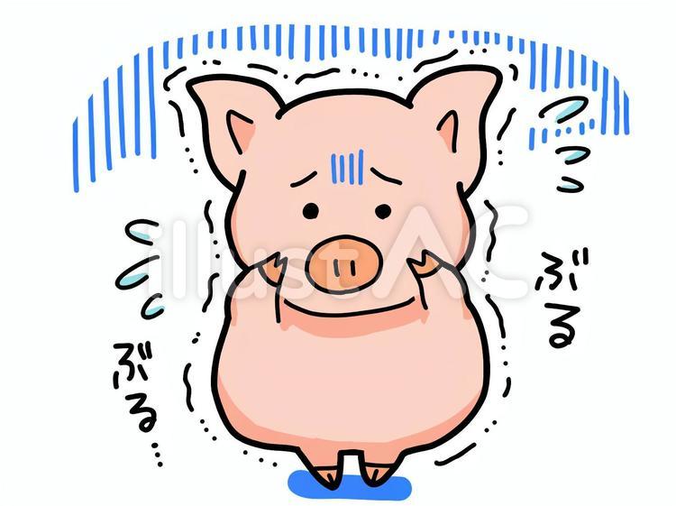 震えるぶたさん 豚,震える,怯えるのイラスト素材