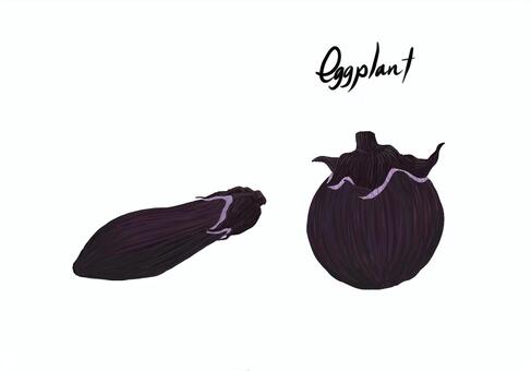 Illustration, eggplant, vegetables, hand drawn, 