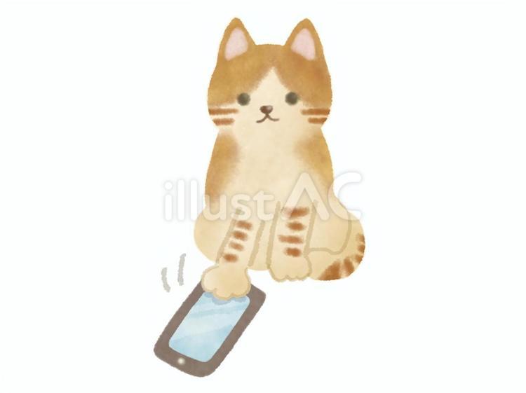 スマホを操作する猫 猫,スマホ,スマートフォンのイラスト素材