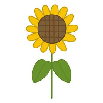 Sunflower, JPG and PNG Sunflower, sunflower, flower, hand drawn, JPG and PNG