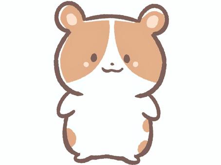 ハムスターさん ハムスター,動物,ペットショップ,生き物,哺乳類,可愛い,ペットのイラスト素材