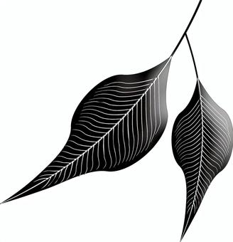 Leaf, JPG, PNG and AI Leaf, leaf, natural, woods, JPG, PNG and AI