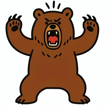 怒るヒグマ ヒグマ,怒る,威嚇,猛獣,危険,襲う,野生,茶色のイラスト素材