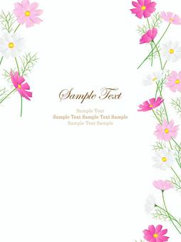 コスモスのフレーム、背景35 コスモス,秋桜,背景,フレーム,水彩,手描き,秋,花,枠,飾り枠のイラスト素材