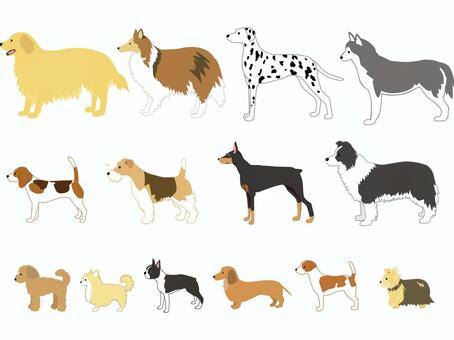 洋犬いろいろ 犬,ペット,セット,集合,ゴールデンレトリバー,コリー,ダルメシアン,シベリアンハスキー,ビーグル,フォックステリアのイラスト素材