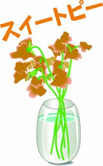 スイートピー　　 スイートピー,観賞,栽培,園芸,花,花瓶,カタカナ,オレンジのイラスト素材