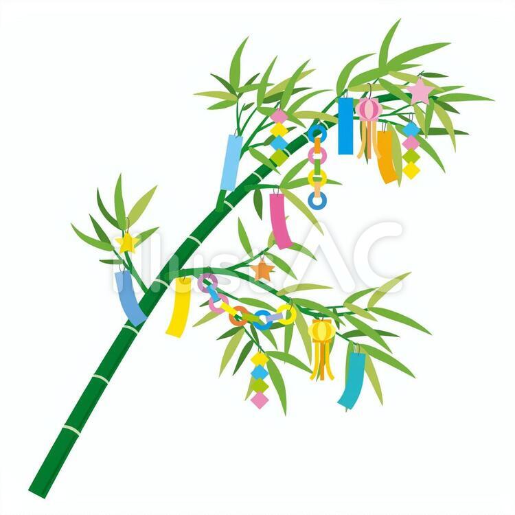 七夕飾りイラストイラスト No 無料イラストなら イラストac
