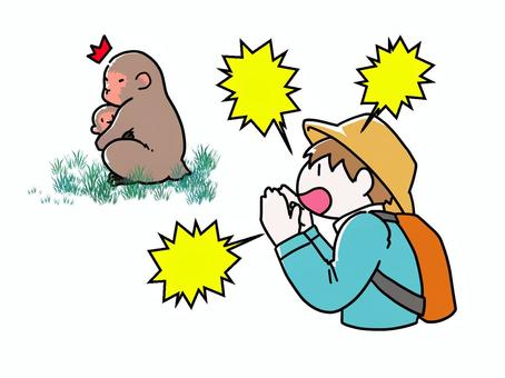 猿に大声をあげる人  人,登山客,男性,レジャー,猿,大声,騒音,刺激,脅す,怒鳴るのイラスト素材