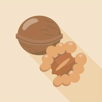 クルミ・胡桃 クルミ,くるみ,ナッツ,秋,木の実,核果,胡桃,茶色,丸,食用のイラスト素材