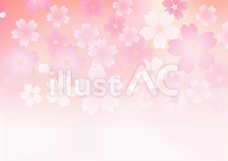 桜素材386 春,桜,フレームのイラスト素材