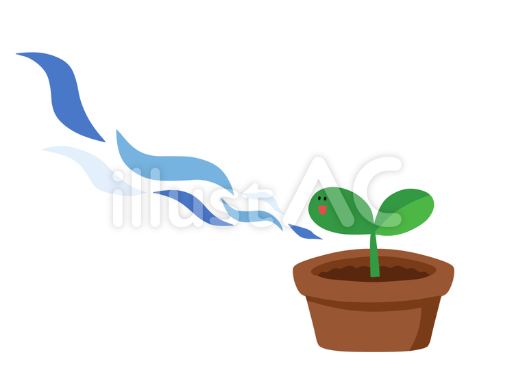 風通しのいい鉢植え（背景無し） 鉢植え,植木,ガーデニングのイラスト素材