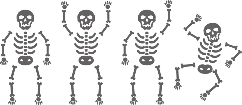 ほねセット ほね,人骨,頭蓋骨,骨格,骸骨のイラスト素材