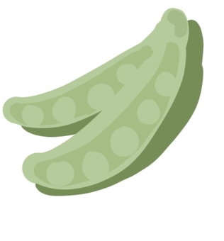 さやえんどう 豆,さやえんどう,ころころ,植物,かわいい,淡い,緑のイラスト素材
