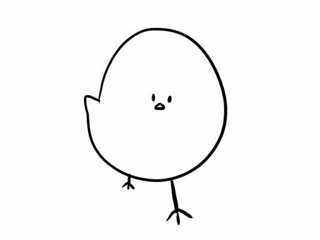 かわいいひよこ