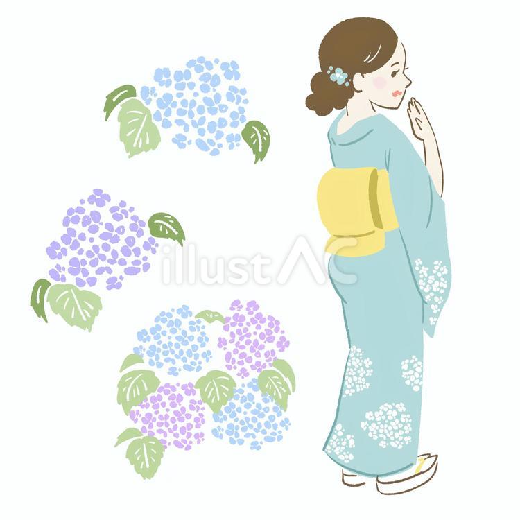 あじさい柄の着物をきた女性です。 着物,人物,着物姿のイラスト素材