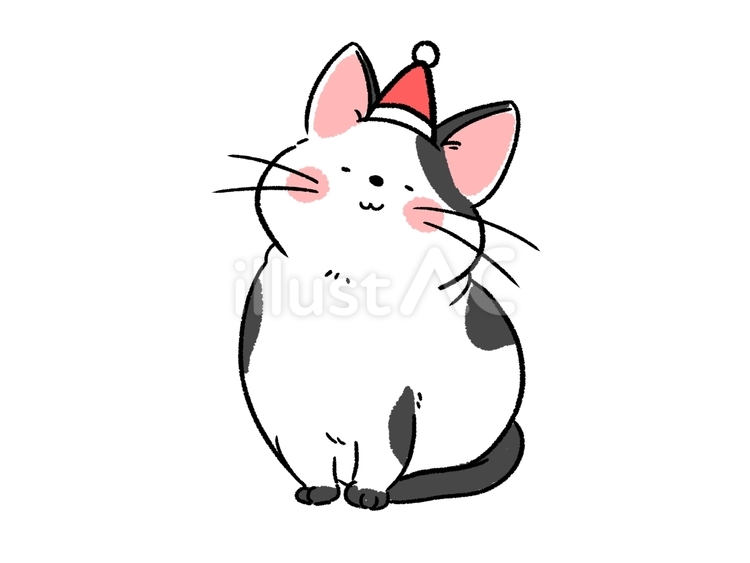 ゆるかわ猫のクリスマスver 猫,ゆるかわ,ほんわかのイラスト素材