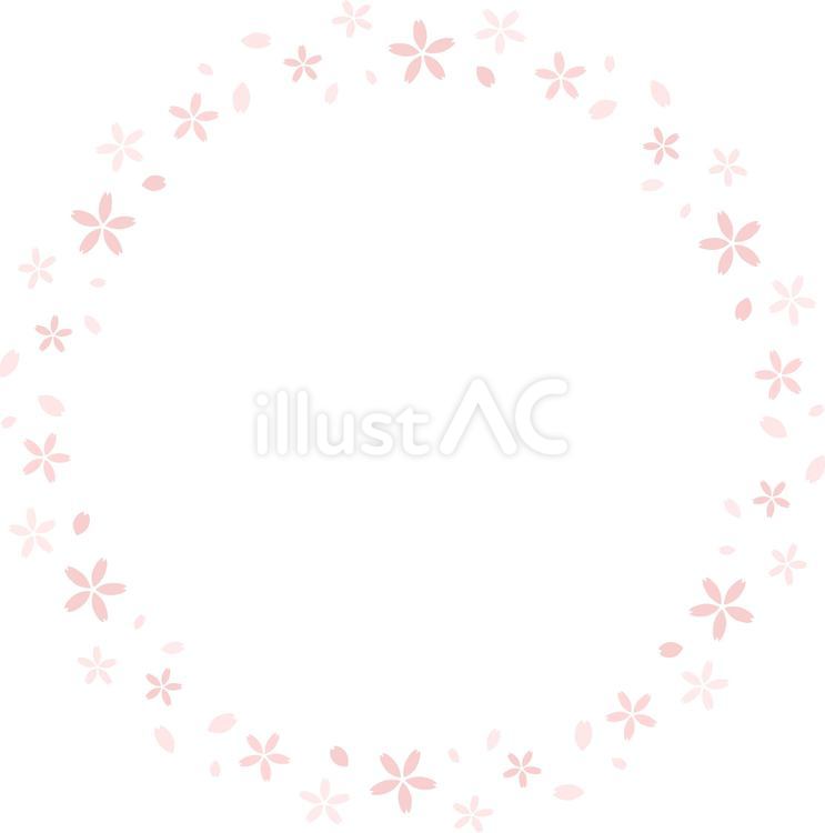 春らしい桜の丸いフレーム 桜,フレーム,花のイラスト素材