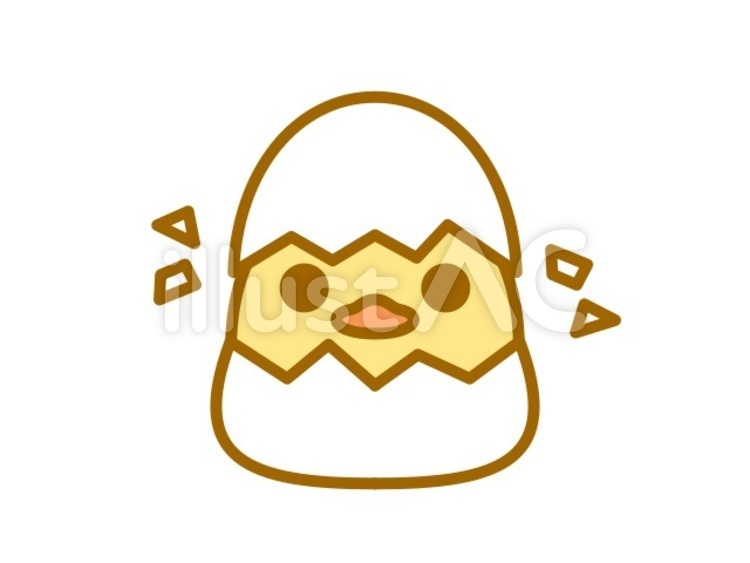 ひよこ　生まれたて　黄 ひよこ,鳥,動物のイラスト素材