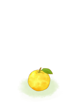 冬至のゆず・ころんとイラスト【1】（小） 冬至,柚子,ゆず,果物,白色背景,縦長,冬の風物詩,冬,背景素材,12月のイラスト素材