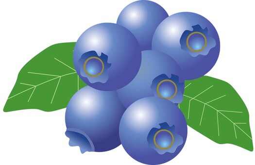 果物_ブルーベリー ブルーベリー,果物,農園,畑,農家,農業のイラスト素材