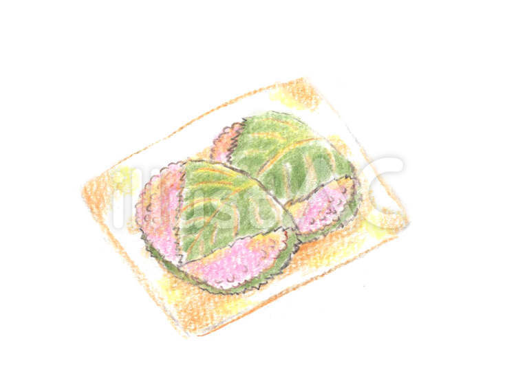 さくらもち 桜餅,食べ物,春のイラスト素材