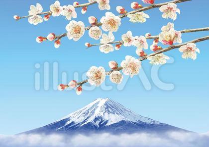177-風景1 富士山と梅1