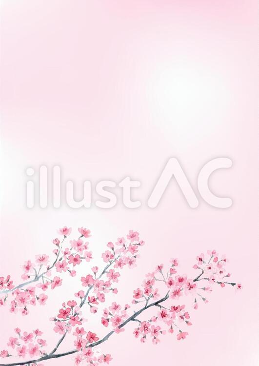 桜の背景　A4サイズ　縦デザイン 桜,墨絵,筆絵のイラスト素材