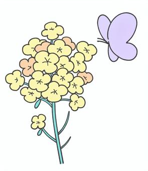 菜の花の手描きイラスト1 菜の花,春,蝶々,花,手描き,かわいい,植物,生き物,挿絵,単品のイラスト素材