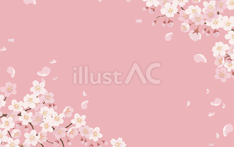 テキストスペース付き　満開の桜の背景 桜,背景,フレームのイラスト素材