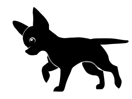 Chihuahua trudging along, , JPG and PNG