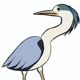 アオサギ サギ,アオサギ,鳥,生き物,動物,水鳥,鳥類,自然,かわいい,優しいのイラスト素材