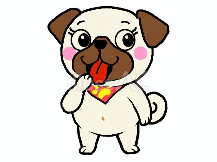 指をくわえるて横を見るパグ 犬,指,くわえるのイラスト素材