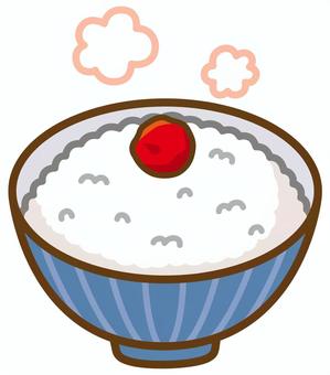 ご飯の上に乗った梅干し