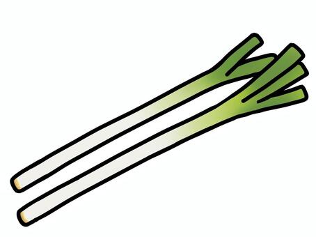 ネギ ネギ,白ネギ,長ネギ,葱,野菜,青葱,食品,食べ物,具材,食材のイラスト素材