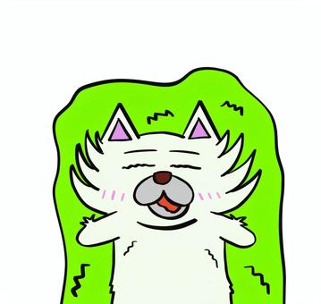 めんどくさい オオカミ,かわいい,動物,キャラクター,めんどくさい,ダルい,野原のイラスト素材
