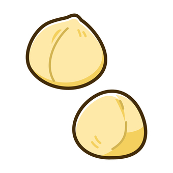 マカダミアナッツ マカダミアナッツ,ナッツ,食べ物,木の実,シンプルのイラスト素材