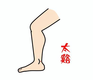 太谿 鍼灸,ツボ,経穴,健康,東洋医学,太谿のイラスト素材