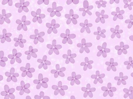Illustration, flower, purple, wallpaper, 