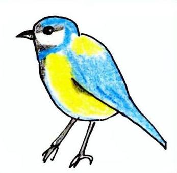 青い鳥の手描きイラスト 鳥イラスト,青い鳥,イラスト,手描き,鳥のイラスト素材