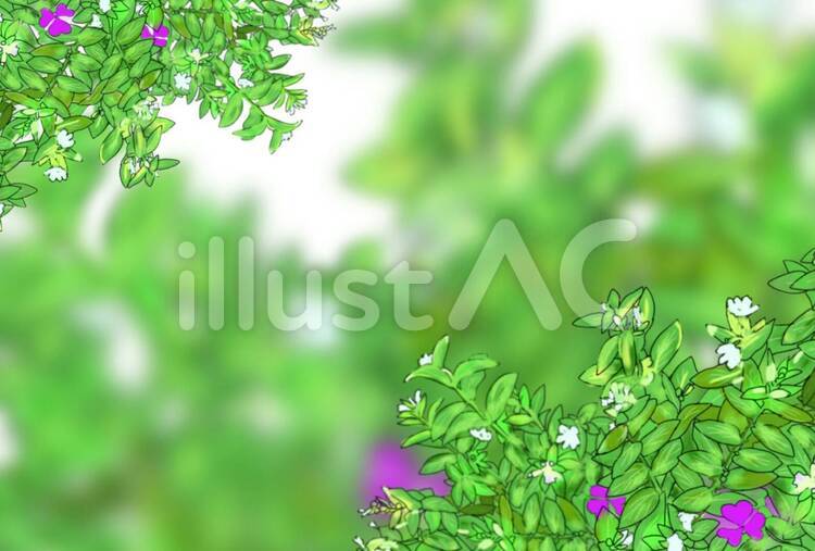 壁紙　フレーム　背景　花　初夏 壁紙,フレーム,背景のイラスト素材