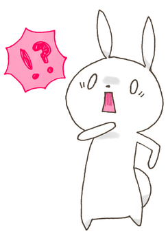 RUNRUN rabbit 21 RUNRUN rabbit 21