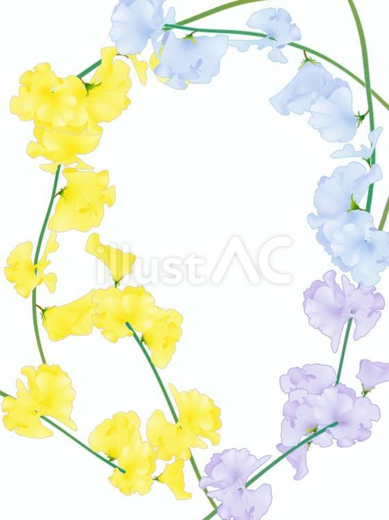 スイートピーのフレーム スイートピー,花,植物のイラスト素材